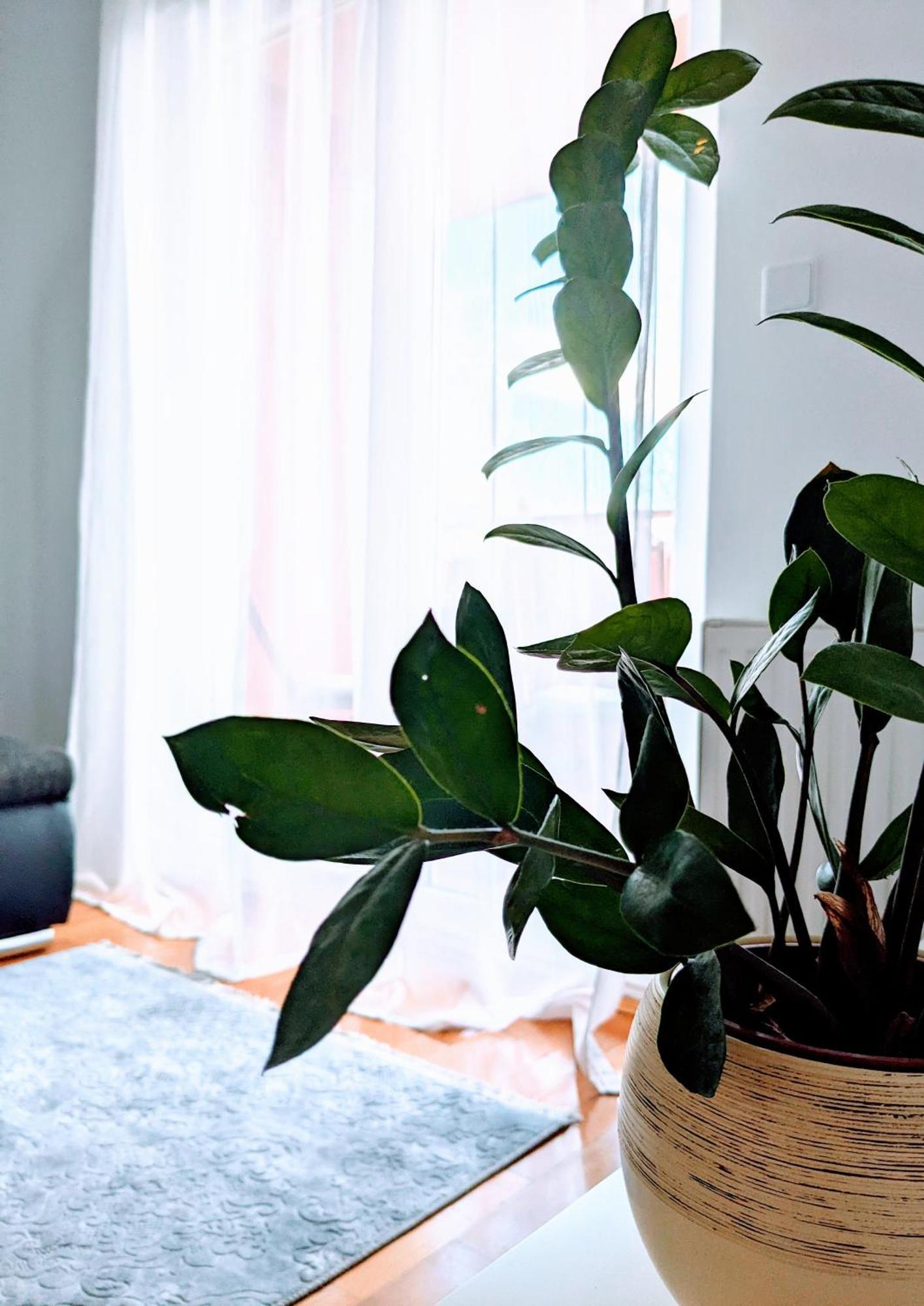 Doma-Lu Apartment-Near Airport And Highway- Free Parking Velika Mlaka Bagian luar foto